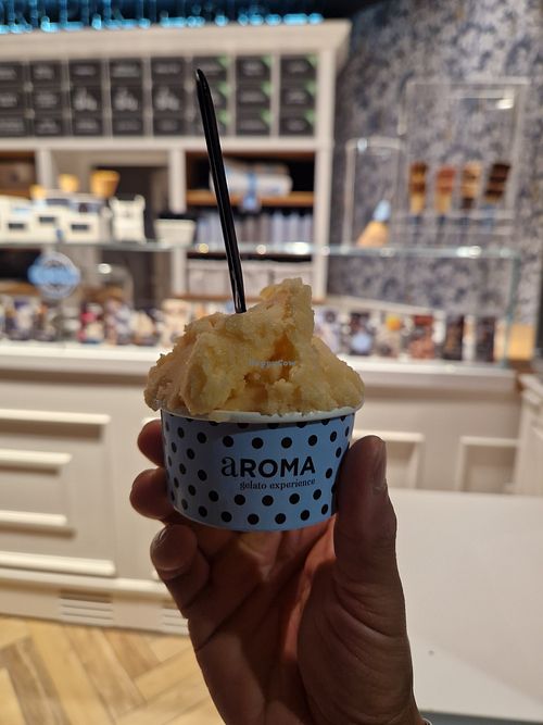 Melon 10/10 at aROMA Gelato in Baska