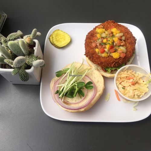 delicious coconut burgers at Green Bar and Kitchen in Fort Lauderdale