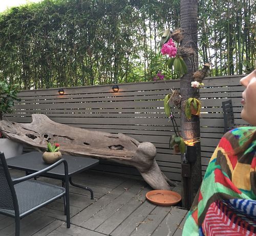 outside sitting  at Green Bar and Kitchen in Fort Lauderdale