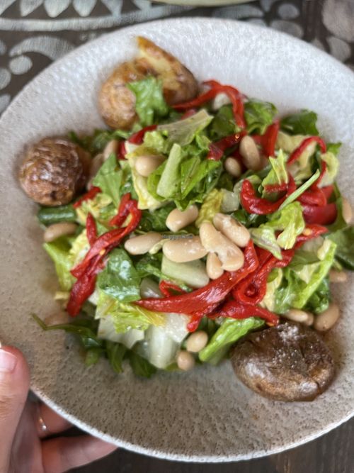 Salad  at Walt Disney World - Three Bridges in Lake Buena Vista