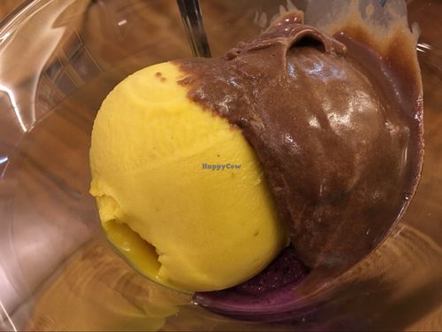 Ice creamy ice cream at Vegelateria in Zurich