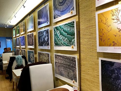 inside at Vegelateria in Zurich