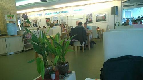 Vegelateria at Vegelateria in Zurich