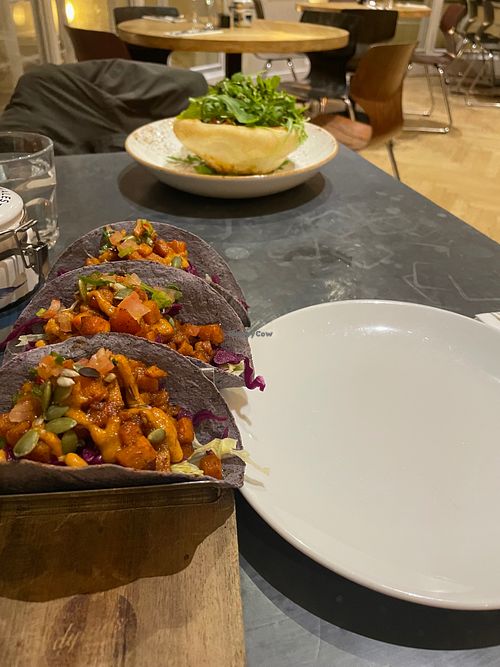 Tacos and pasta bowl at Dylan's - Criccieth in Criccieth