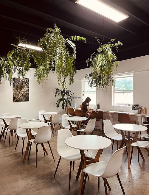 Plantoem Honolulu Hawaii Coffee & Tea HappyCow