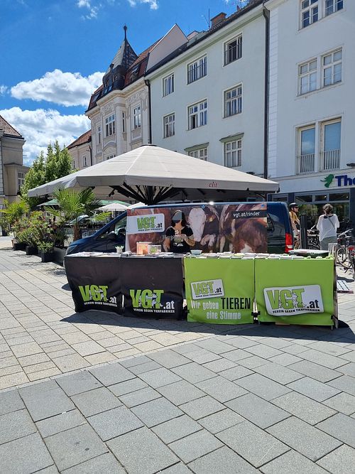  at VGT - Verein Gegen Tierfabriken in Vienna
