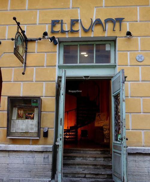 Elevant at Elevant in Tallinn