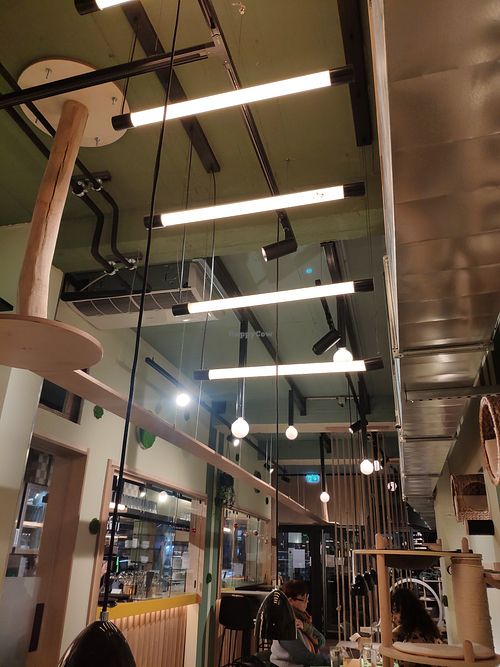 Catwalks and climbing at Katzentempel in Cologne