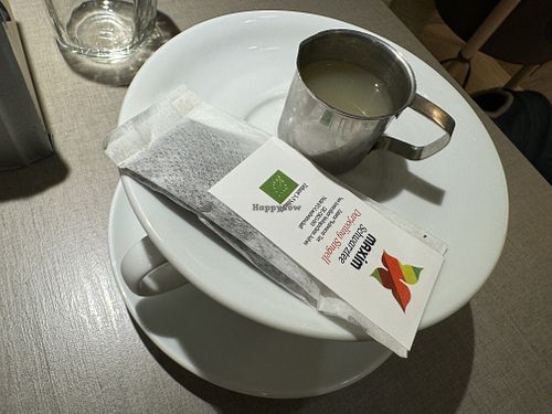 tea  at Katzentempel in Cologne