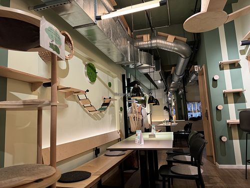 inside  at Katzentempel in Cologne