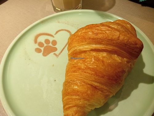 Delicious at Katzentempel in Cologne