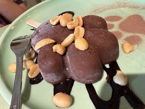 paw  at Katzentempel in Cologne