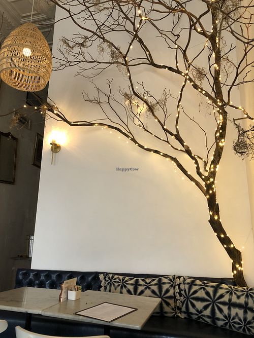 Tree with lights ❤️ at Le Salbuen Cafe Market in Montclair