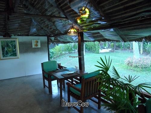 Atsumi Raw Cafe - Garden Sitting Area at Atsumi Raw Cafe in Phuket