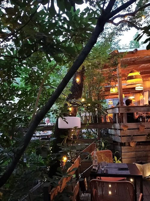 Gastronomic restaurant with several vegan options at Les Sains Bonheurs in Saint-bauzille-de-putois