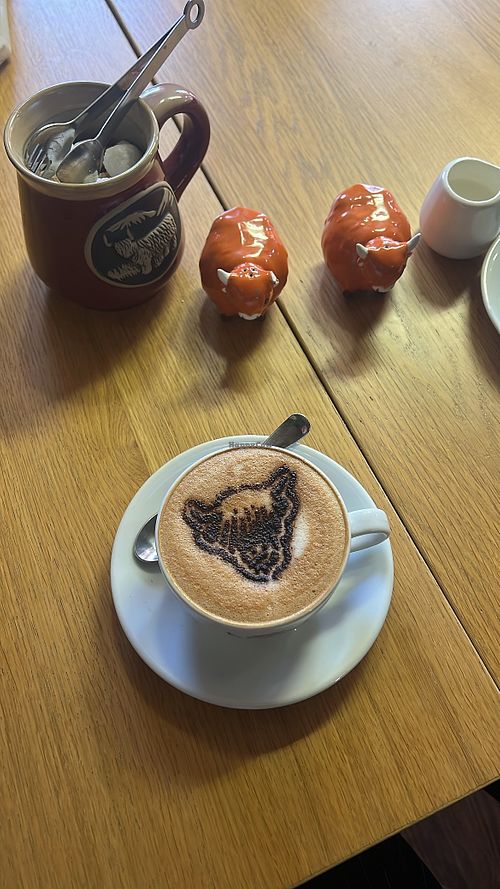 cappuccino   at The Highland Cow Shop in Isle Of Skye