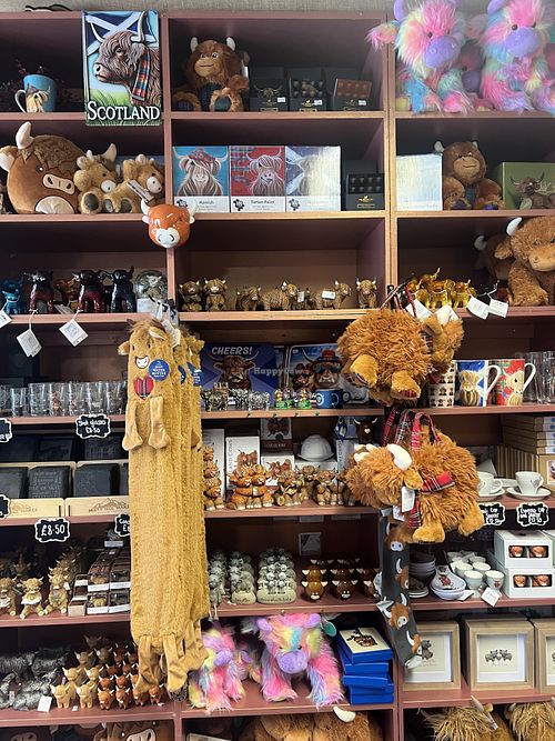   at The Highland Cow Shop in Isle Of Skye
