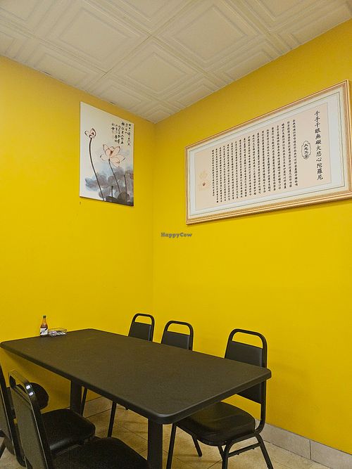 Cute at Cisu Vegan House in Hanover