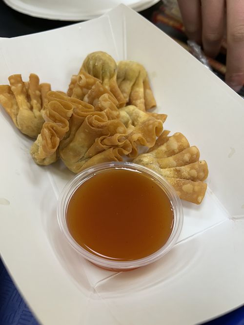 Fried wontons  at Cisu Vegan House in Hanover
