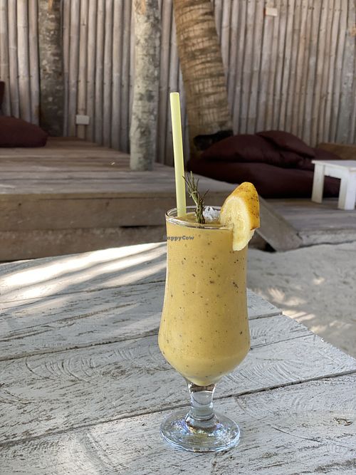 Tropoloco smoothie   at SHAKA - Siquijor in San Juan Siquijor