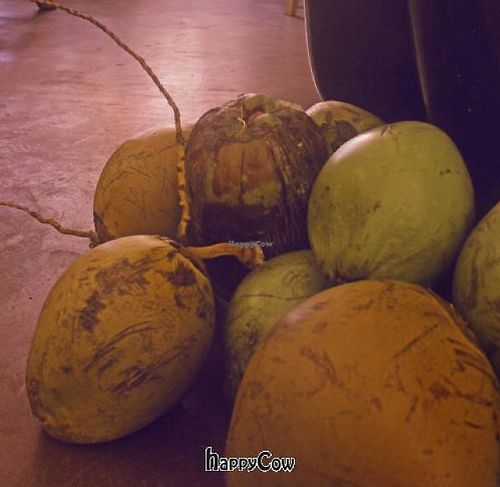 Fresh coconuts! Yummmmmm!!!! at Bamboo Fresh in Lahaina