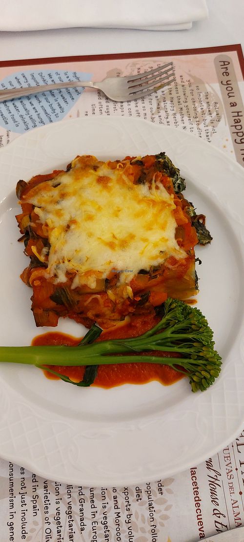 Spinach Canneloni at Happy Herbivore in Cuevas Del Almanzora