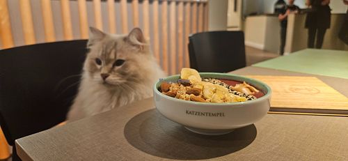 Image of Katzentempel - Bremen