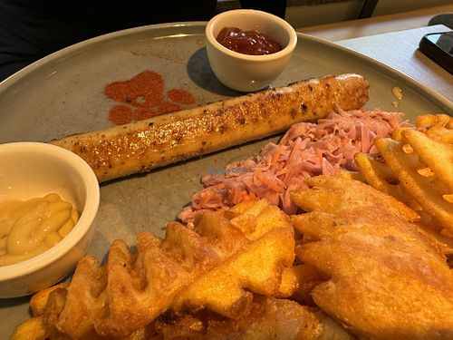 soccer special  at Katzentempel - Bremen in Bremen