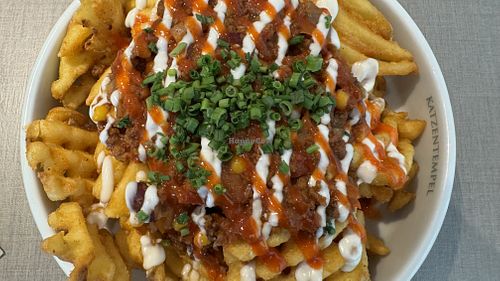   at Katzentempel - Bremen in Bremen