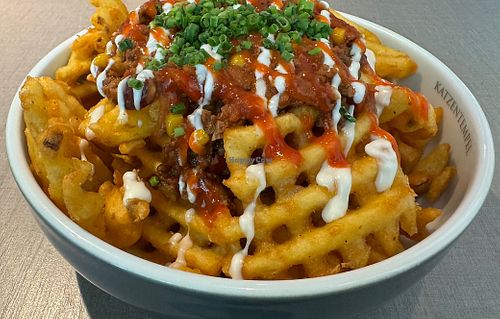   at Katzentempel - Bremen in Bremen