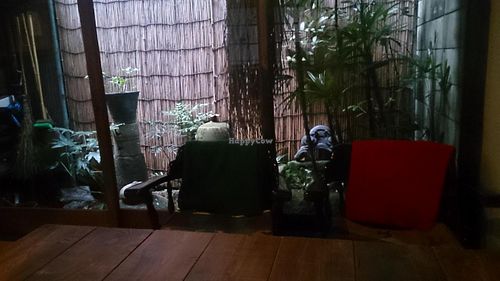 garden from table at Kyoto Cafe Shijo Nishinotoin in Kyoto