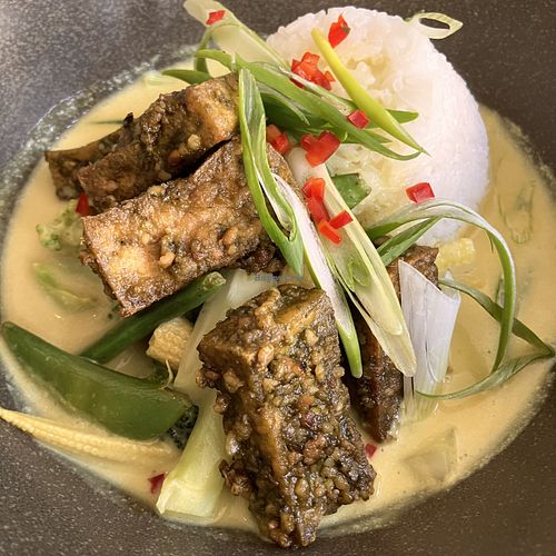   at The Green Rocket Cafe in Bath