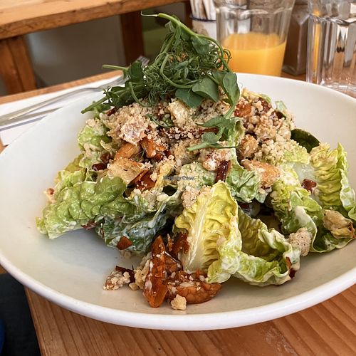   at The Green Rocket Cafe in Bath