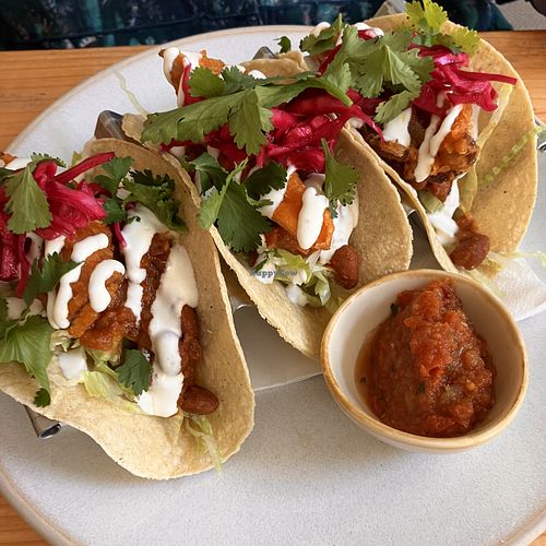   at The Green Rocket Cafe in Bath