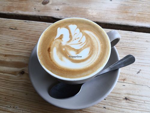 Flat white 😍 at The Green Rocket Cafe in Bath