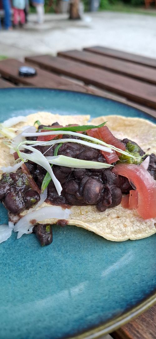  at Bill's Kitchen  in Potsdam