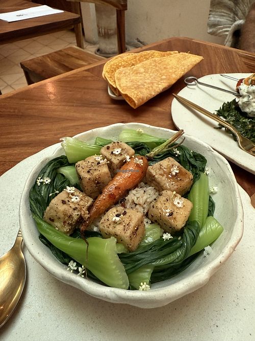 Tofu bok choy   at El Mundo Restaurante in Mexico City