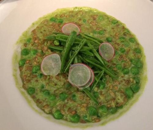 Risotto at Le Verdure in New York City