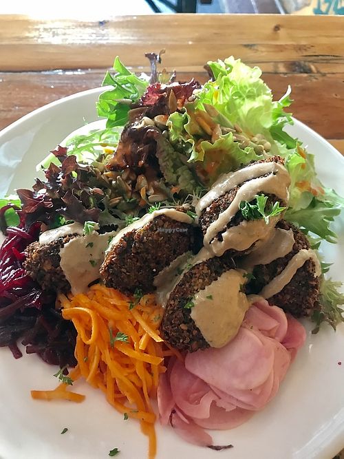 falafel salad at Dangerous Kitchen in Takaka