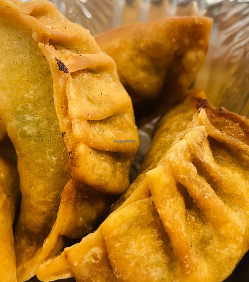Fried Momos Veggie at Yeti Kitchen in Lansing