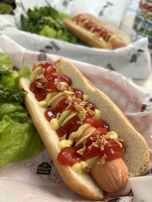 Vegan hot dog 🌭   at Le Poulpi Place in Grasse