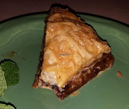 The Mediterranean plate at Senor Veggie! at Senor Veggie in San Antonio