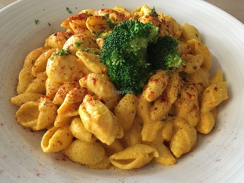 Mac and cheese - huge portion, but lack of taste. at Senor Veggie in San Antonio