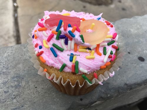 Vegan lavender cupcake - absolutely delicious! at Senor Veggie in San Antonio