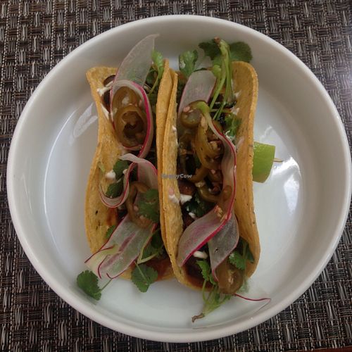 mushroom tacos at The Juice Cellar in Belfast