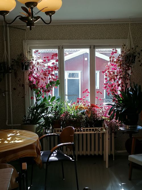  at Kahvila Koroinen in Turku