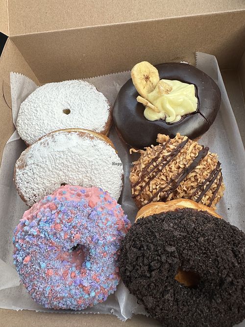 Vegan donuts 💖 So many delicious choices!   at Just Fine Donuts in Alexandria
