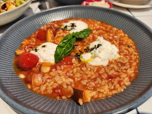 Tomato rissotto at You Are What You Eat in Seoul
