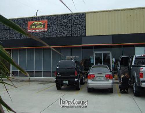 Do not be fooled by the simplicity of their facade. at The Jungle in Melbourne