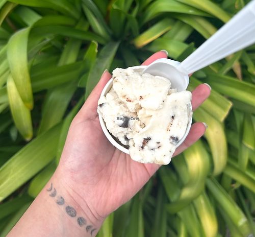   at CREAM in Berkeley